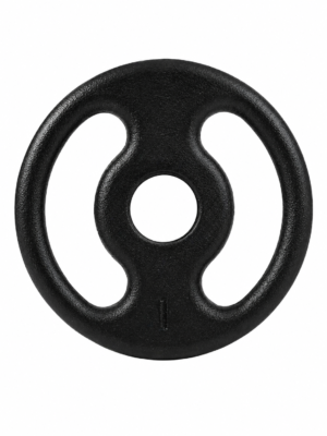 Anilha Ferro Fundido Furo 31mm